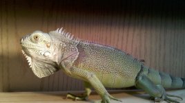 2011-04-24_19-07-36_882.jpg