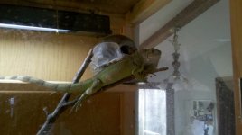 2011-04-24_19-05-44_243.jpg