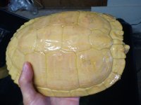 2011-06-08 19.01.jpg