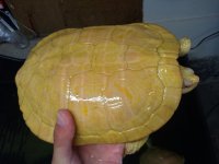 2011-06-08 19.02.18.jpg