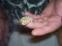 100_4167.jpg