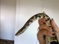 0408111708.jpg