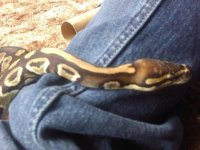 downsized_0408111729.jpg