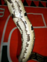 100_0553.jpg