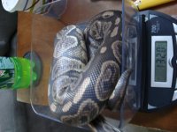 DSC01074.jpg