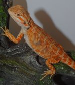 DSC_1270 nic.jpg