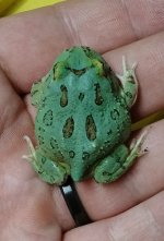 IMG20240421150521~2.jpg