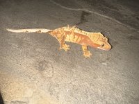 IMG_2399.jpg