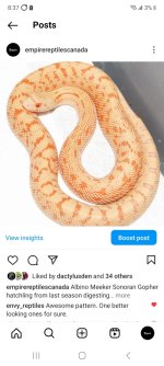 Screenshot_20231017_203714_Instagram.jpg