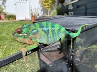 IMG_3997.jpg