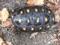 DSCN8329.jpg