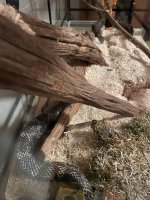 IMG_5842.jpeg