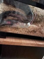 IMG_5841.jpeg