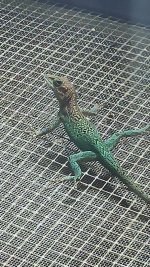 IMG-20240205-WA0000.jpg