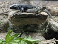 IMG_2200.jpg