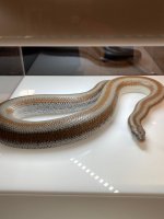 IMG_6827.jpg