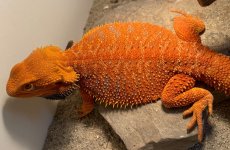 thumbnail_IMG_8142.jpg