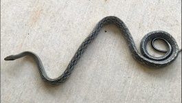IMG_6453.jpeg
