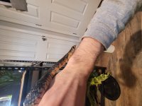20240404_125938.jpg