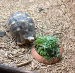 IMG_6056.jpeg