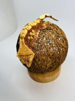 IMG_7653.jpg