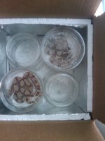 2011-05-23 15.00.49.jpg