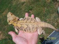 100_3593.jpg