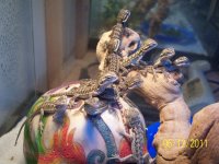 100_3633.jpg