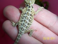 100_3281.jpg