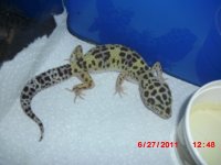 gtp and baby 019.jpg