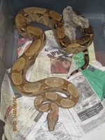 056.jpg