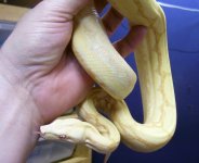 100_4118.jpg