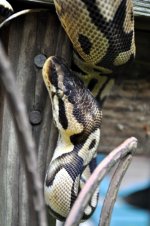 DSC_1819.5.jpg