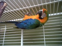 IMG00311-20110427-0900.jpg