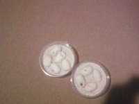 eggs 2.jpg