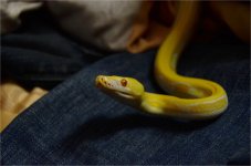 DSC_2215.jpg