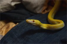 DSC_2216.jpg