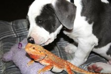 IMG_8779.jpg