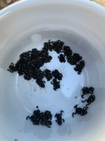 IMG_5786.jpeg