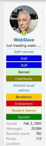 webslave_xenforo member levels.JPG