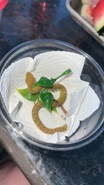 IMG_7794.jpeg