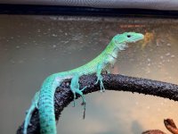 female #2.jpg