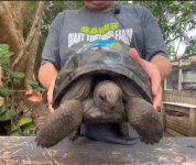 ZZAldabra.jpg