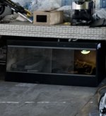 IMG_1011.jpeg