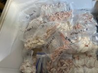 Frozen Mice.jpg