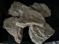 IMG_4110-compressed.jpeg