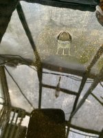 IMG_8848.jpeg