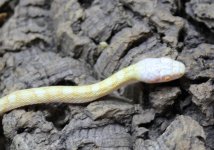 mini_IMG_4346.JPG