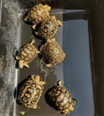 IMG_1404.jpeg