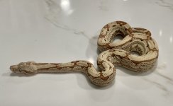 IMG_7210.jpeg
